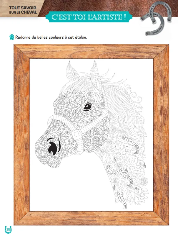 Escape game famille - ZOO Perdus dans la jungle LAROUSSE – Image 4