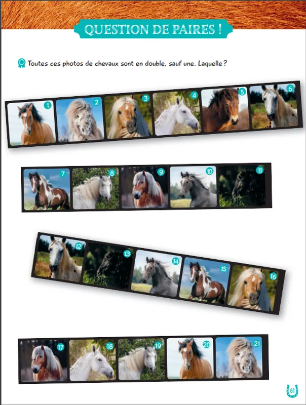 Escape game famille - ZOO Perdus dans la jungle LAROUSSE – Image 6