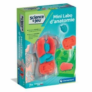 Mini Labo d’anatomie