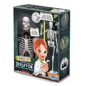 Squelette 45 cm BUKI
