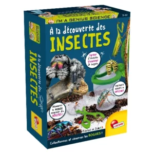 A la découverte des Insectes LISCIANI