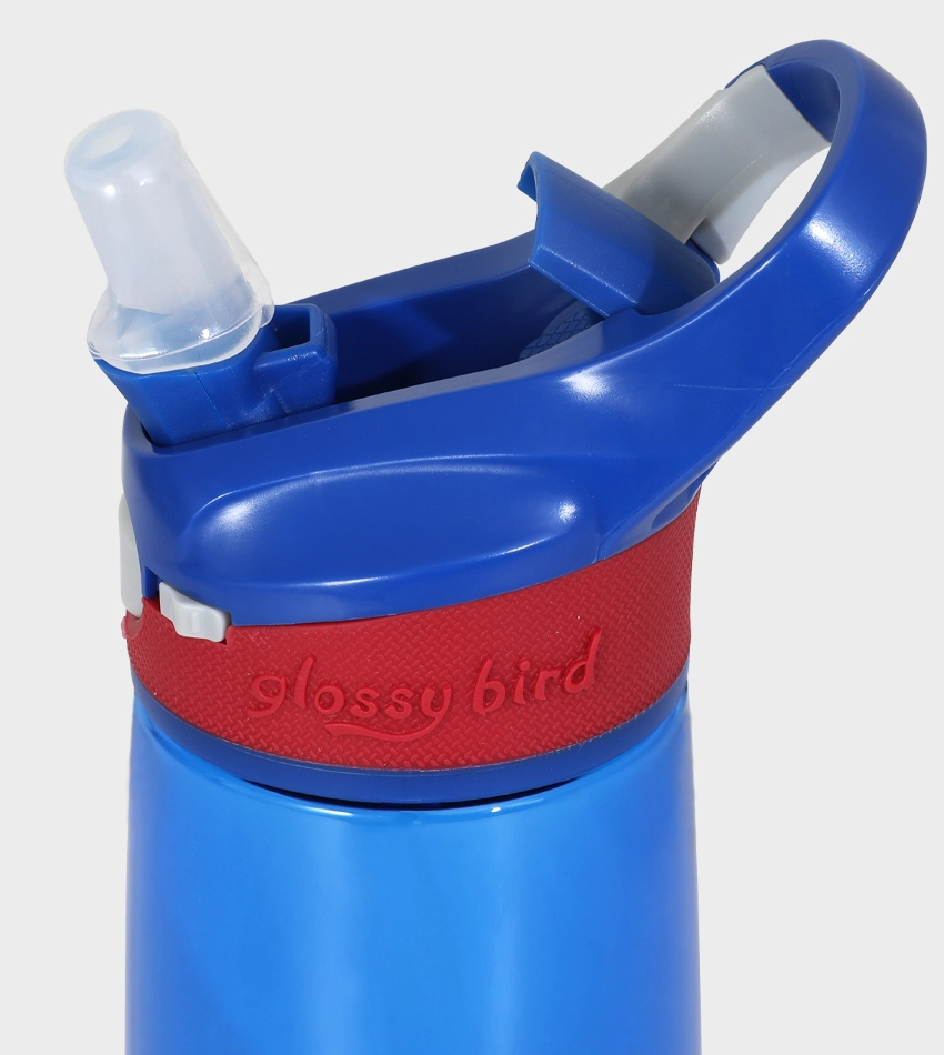 Gourde Glossy Bird – Image 2